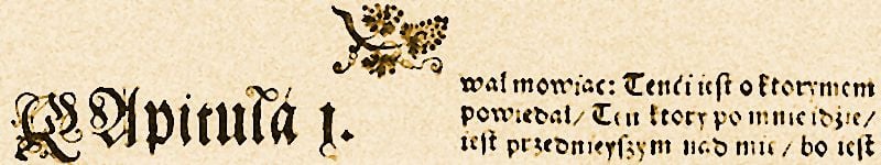 XVI-wieczne przekłady Ewangelii